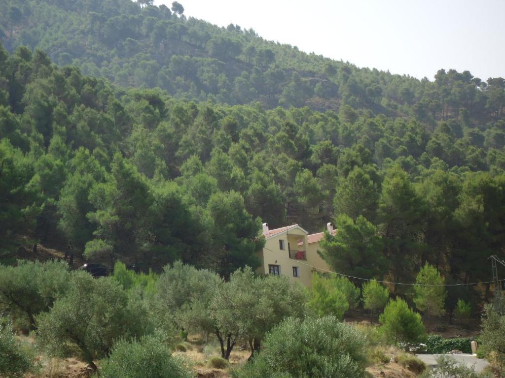 דירות Alcaucín Cortijo Del Alcazar מראה חיצוני תמונה