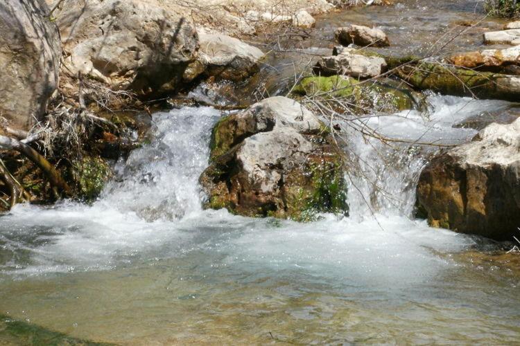 דירות Alcaucín Cortijo Del Alcazar חדר תמונה