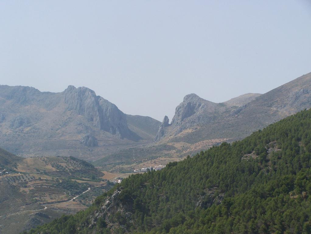 דירות Alcaucín Cortijo Del Alcazar מראה חיצוני תמונה