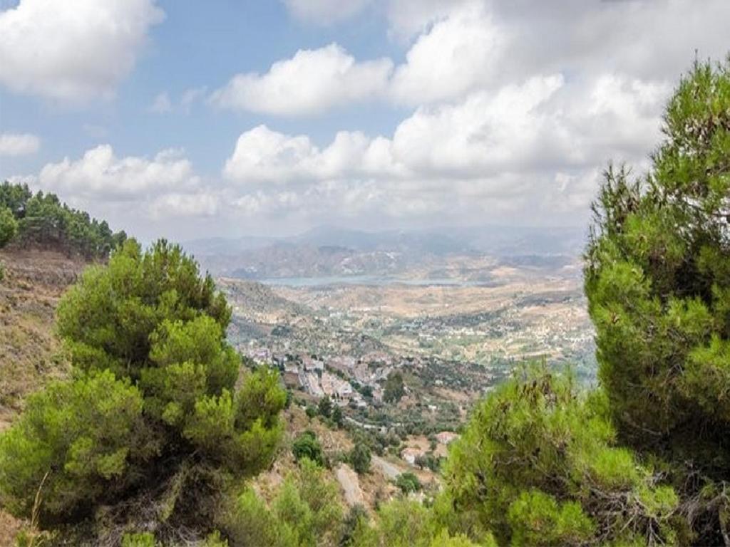 דירות Alcaucín Cortijo Del Alcazar חדר תמונה